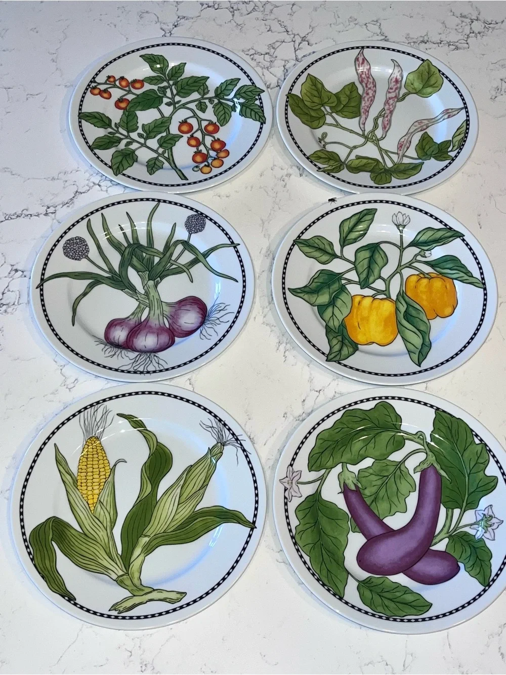 Williams Sonoma Harvest Vegetables salad plates full set six #WSO31 7-3/4”